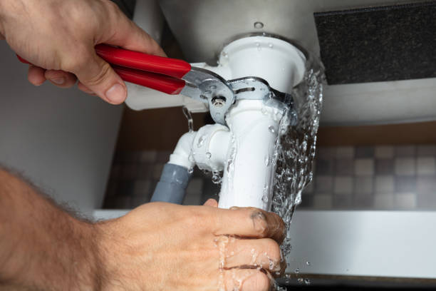 Best Professional water damage repair  in Millwood, WA