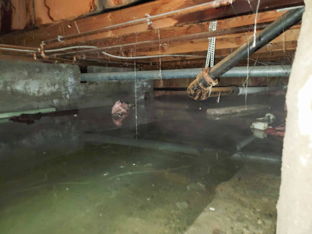 Best Water damage restoration insurance claims  in Millwood, WA