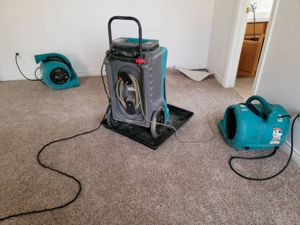 Water damage restoration insurance claims in WA