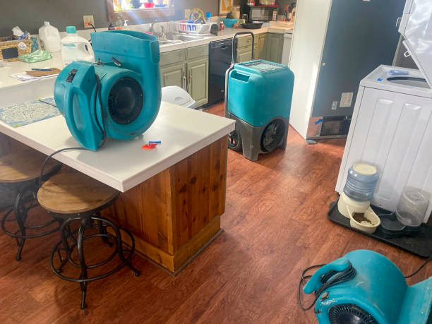  Millwood, WA Water damage restoration Pros