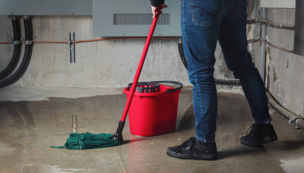 Best Ceiling water damage repair  in Millwood, WA