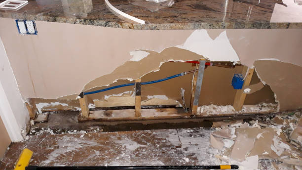 Best Basement water damage restoration  in Millwood, WA