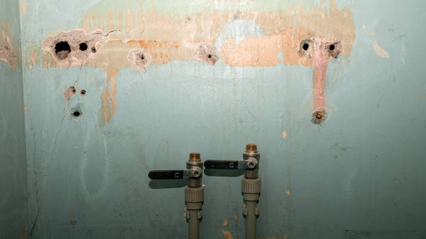 Best Water damage restoration specialists  in Millwood, WA