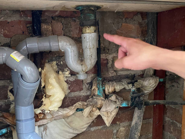 Best Water damage cleanup near me  in Millwood, WA