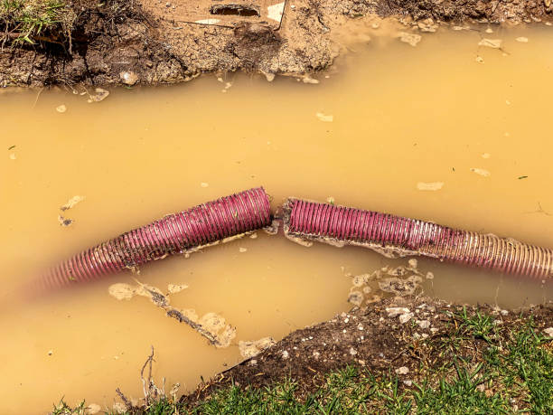 Best 24-hour water damage restoration  in Millwood, WA