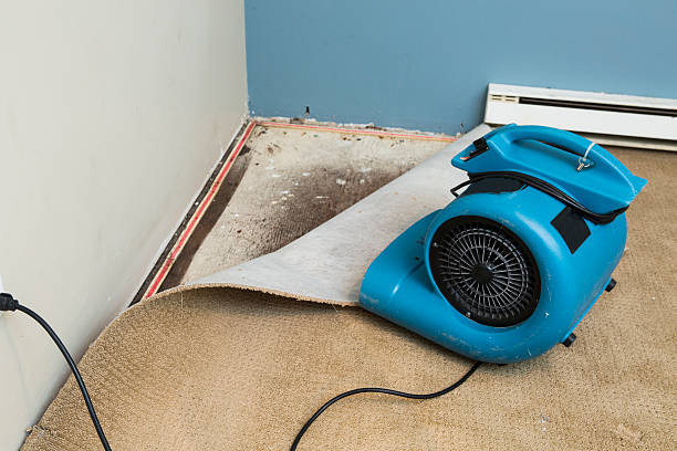 Best Flood damage cleanup  in Millwood, WA
